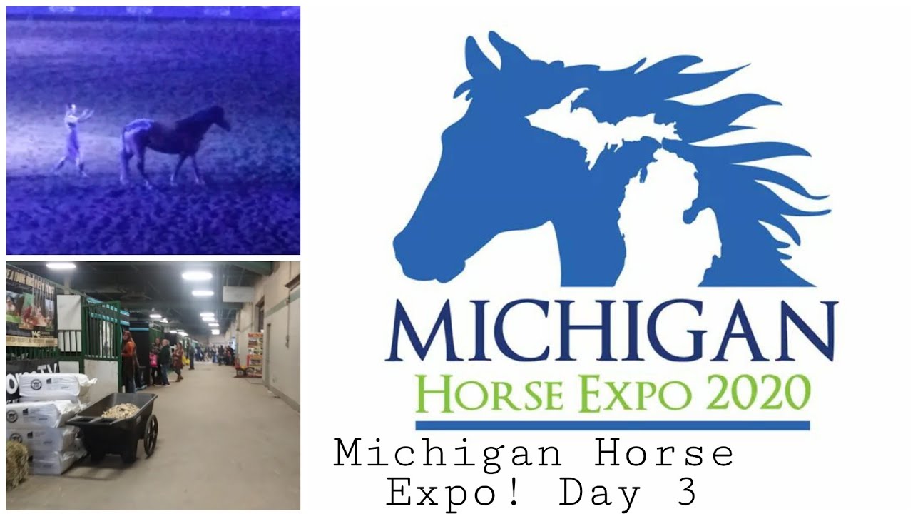 Michigan horse expo day 3 never give up tour youtube
