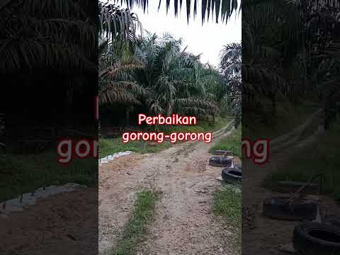 perbaikan gorong-gorong#shorts#youtubeshorts