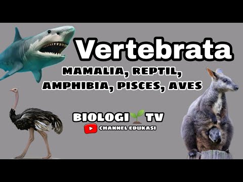 Biologi Sma materi Vertebrata mamalia reptil aves amphibia pisces kelas 10 semester 2