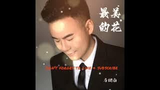 马健南 Ma jian nan 最美的花 Zui mei de hua
