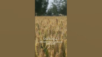 (اعلموا أنما الحياة الدنيا لعب ولهو وزينة وتفاخر بينكم) سورة الحديد الشيخ عبدالرشيد صوفي