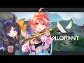 〖 VALORANT 〗 ネオンが帰ってきた…ヴァロヴァロ! / あやちゃん 〖 心白てと / ネオポルテ 〗
