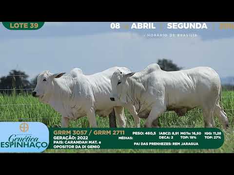 LOTE 39   GRRM 2711,3057