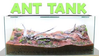 How to Build an Ant Farm | Natural Formicarium
