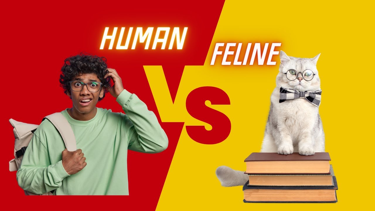 Cats: Smarter Than You Know - YouTube