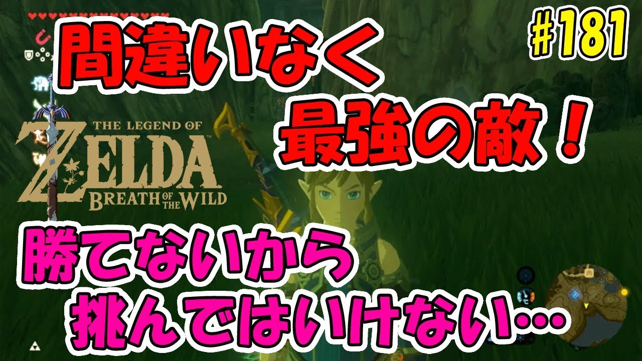 181 ゼルダの伝説 間違いなく最強の敵 勝てないから見つからず逃げる 実況プレイ ブレス オブ ザ ワイルド Nintendo Switch Youtube