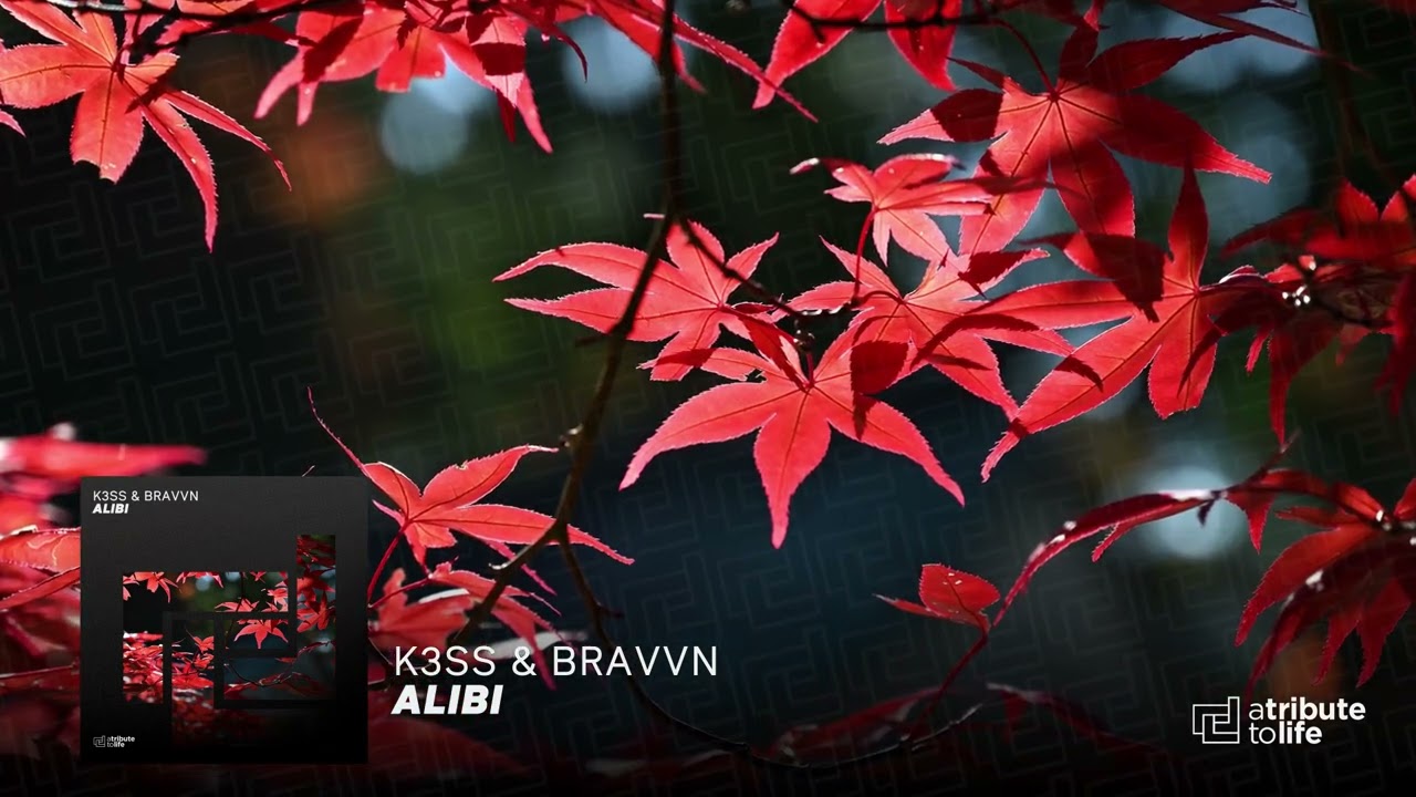 Obejrzyj K3SS & BRAVVN - Alibi w YouTube Obejrzyj K3SS & BRAVVN - Alibi w YouTube