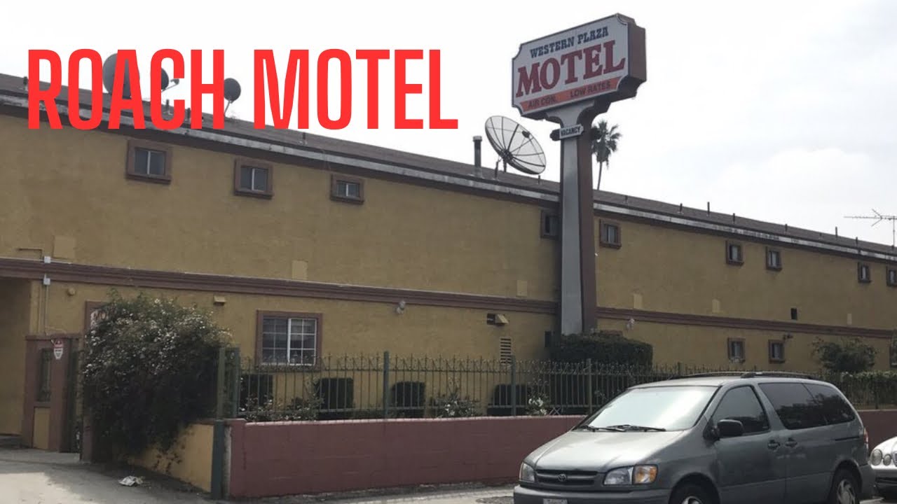 Ah Brotha Checks in Dirty Roach Infested Motel, the Same Clientele’s for Section 8 Housing #poverty