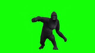 Green Screen King Kong Video Effect || Green Screen King Kong Video