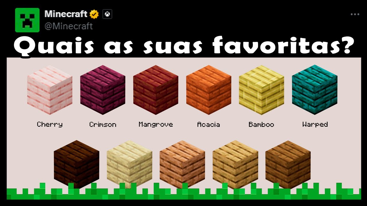 O MINECRAFT QUER SABER QUAIS AS SUAS T BUAS FAVORITAS YouTube o-minecraft-quer-saber-quais-as-suas-t-buas-favoritas-youtube