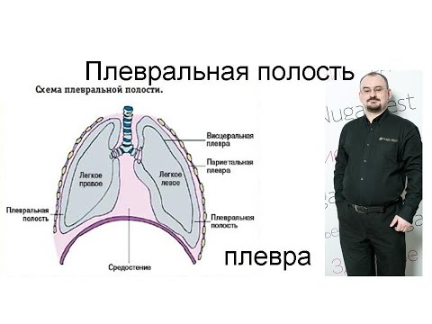 Бейне: Плевра эффузиясынан өлу мүмкін бе?