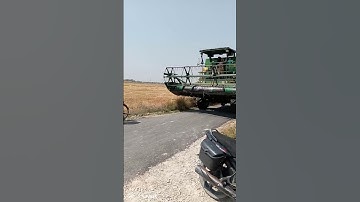 #Video Kudi Rajke Sunakhi  New Punjabi #punjabi #punjabisong #sdk