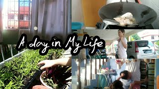 A day in My life Vlog Part 1: Cooking, Watering my Plants & so on