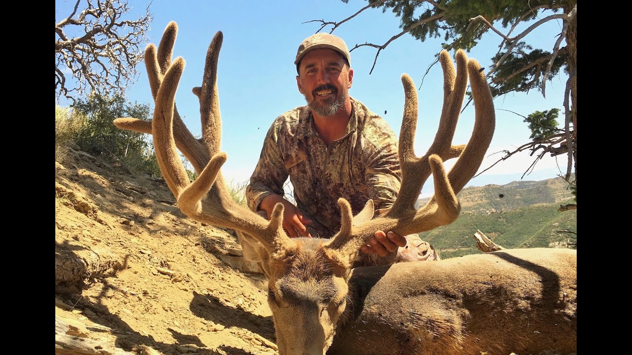 BOOK CLIFFS MULE DEER 212” MONSTER ARCHERY HUNT 2019 YouTube
