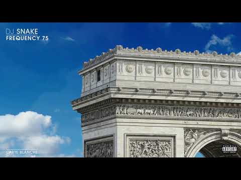 DJ Snake - Frequency 75