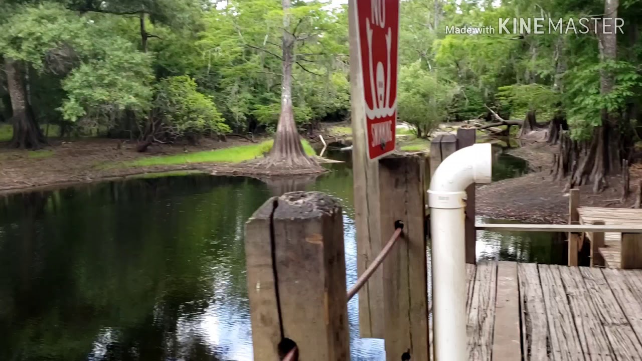 Withlacoochee River Park fishing dock, kayak launch LOW WATER! YouTube