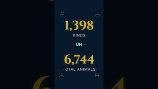 Ark's Seaworthy Design &amp; Animal Capacity EXPLAINED!