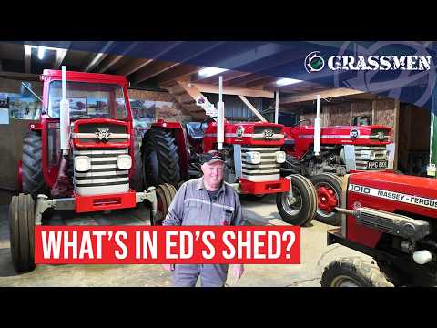 The Red Giants of Shropshire - An Impressive Collection of Classic Masseys!