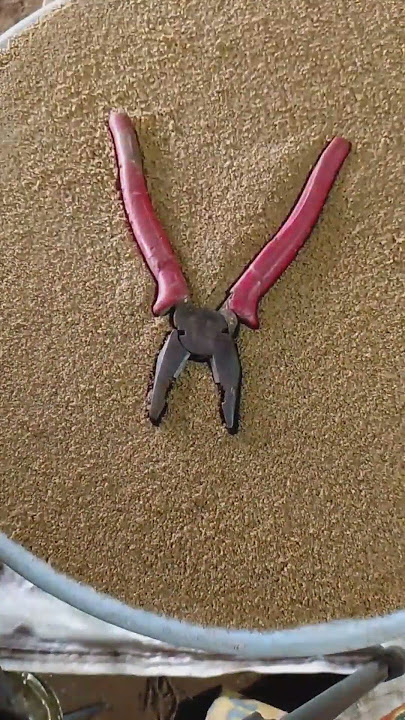 #shorts#youtubeshorts#videos18 salae ranch