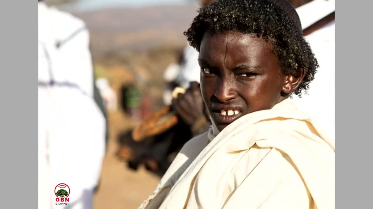 Seenaa Sirna Gadaa YouTube