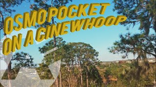 FPV⁄⁄OSMO POCKET ON A CINEWHOOP⁄⁄TEST