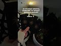 расшифровка 👉🏻 лайк + комментарий