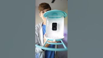 SMARTEST bird feeder ever🤯