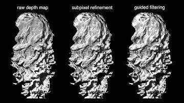Multi-View Hair Capture Using Orientation Fields (CVPR 2012)