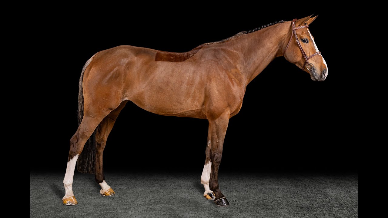 Madermie // Emerald x Mermus R // 7y // Main Video