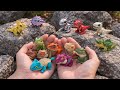 Finding Colorful Toy Dinosaurs – Carnotaurus, Pteranodon, Ankylosaurus Toy Hunt