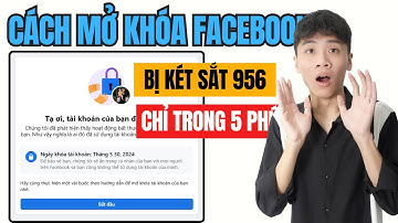 Share Code Đá Selfie 956 Mới Nhất | Cách Mở Khóa Két Sắt Tím 956 Đơn Giản