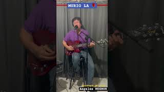 MURIO LA FLOR RecuerdoShort