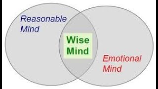 [Practicum Student] Amelia - Ryerson -  DBT Skill: Wise Mind