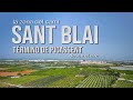 La zona del Camí Sant Blai, en el término de Picassent desde el aire