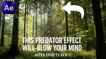 This Predator Effect Will Blow Your Mind – After Effects VFX
