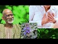 Dr Sebi - Natural Remedy For Heart Problems Bugleweed Herb