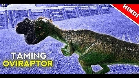 How to Tame Oviraptor | Fast Oviraptor Taming Guide: Ark: Survival Evolved Tips & Tricks #arkmobile