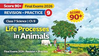 Life Processes in Animals Class 7 Science | Chapter 9 Revision + Practice | Final Exams 2026