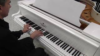 SCHILLER PERFORMANCE SERENITY GRAND PIANO WHITE POLISH
