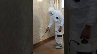 Hidden Risks of Moisture and Mold