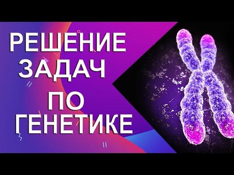 Решение задачи по генетике на наследование гемофилии у человека | Сцепленное с полом наследование