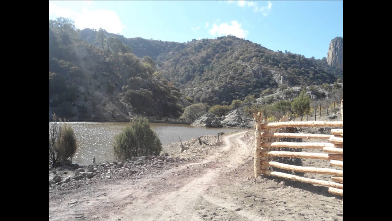 Un Pequeño Homenaje a Moris Chihuahua