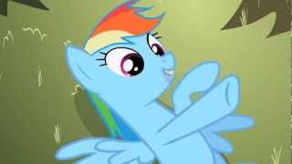 Rainbow Dash - Don't tell me you... you tied yourselves up. Net Worth