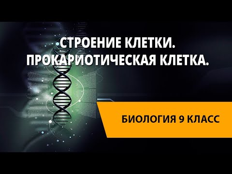 Строение клетки. Прокариотическая клетка