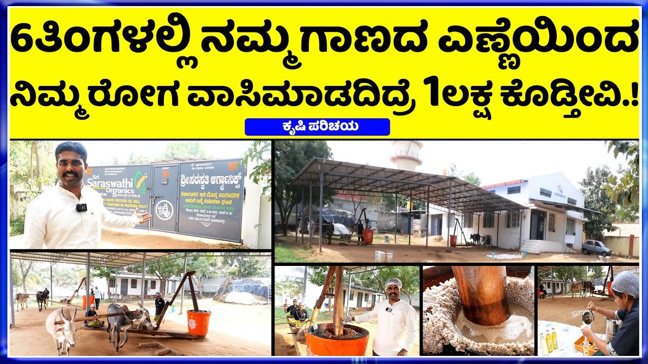 8105365937 ಅತೀ ದೊಡ್ಡ organic ಅಡುಗೆ ಎಣ್ಣೆ Factory | Sri Saraswathi Organics | Bull Driven oils