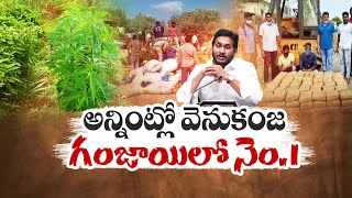 Vizag as Ganja Capital City | Only Cause of YCP Govt.Negligence || Idi Sangathi