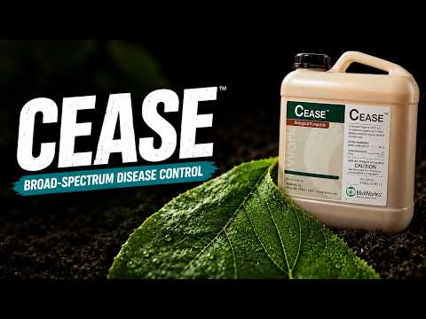 How CEASE Microbial Fungicide Controls Fungal and Bacterial Disease