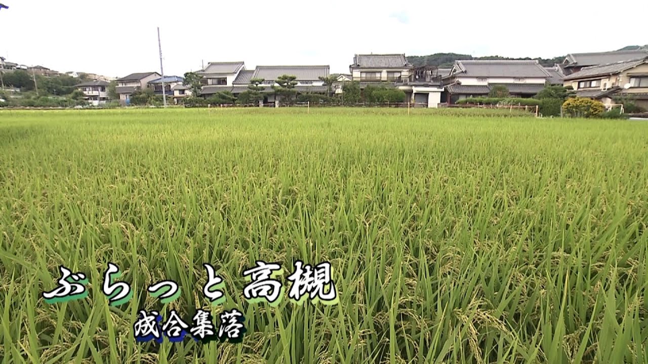 【高槻市】ぶらっと高槻　成合集落