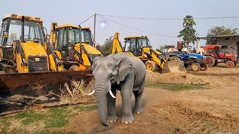Jcb 3dx Machine Going To Another Village For Mud Loading With Mahindra and Swaraj Tractor | JCB