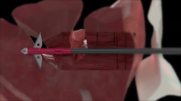 Zeus Broadheads - How it works?